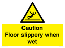 caution-floor-slippery-when-wet~